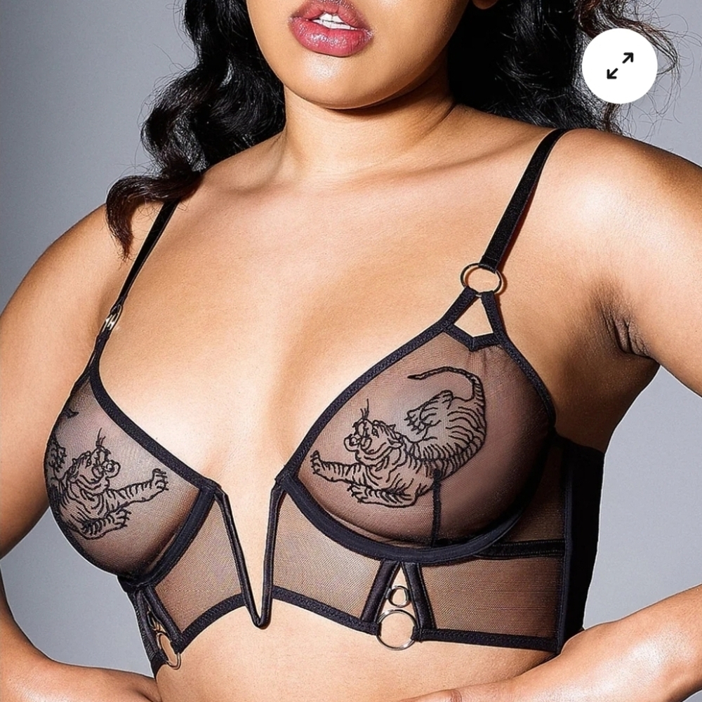 Thistle & Spire Tigris Bra 34DD (34E)